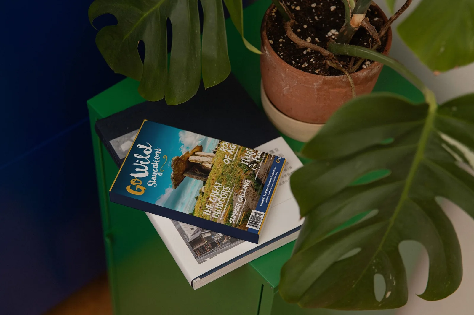 Go Wild Staycations magazine for website design project inspiration.