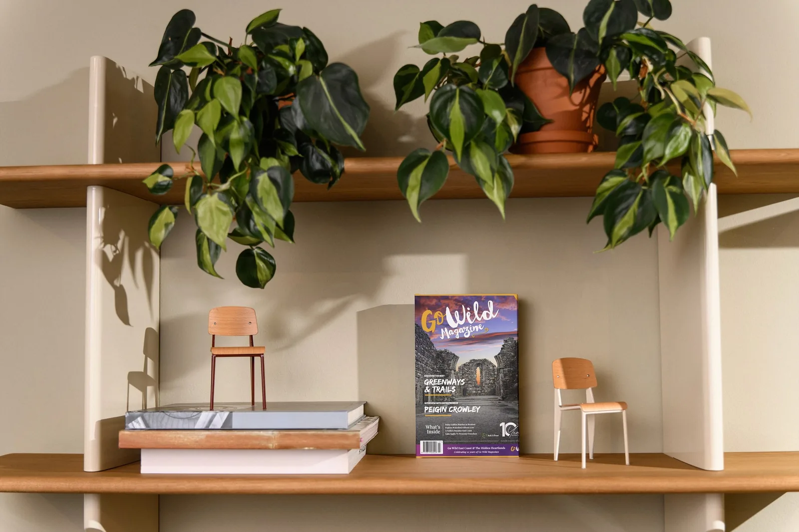 Office shelves with plants, books, and Go Wild Magazine for Vancouver Website Design.
