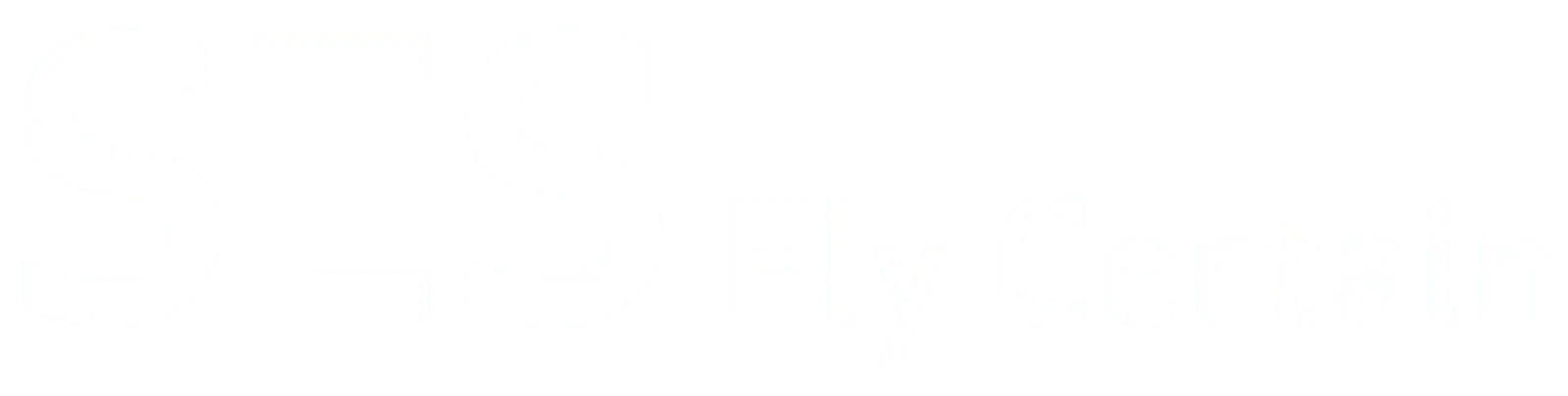 SES Fly Certain logo, premium brand identity design by Vancouver Website Design.